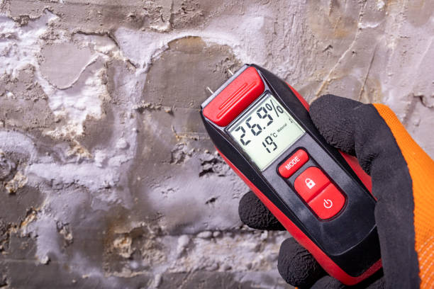 Crawl Space Mold Removal in South Venice, FL