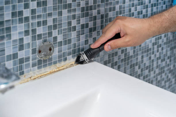 Best Mold Damage Repair  in South Venice, FL
